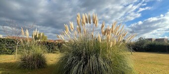 Comarca Andina Lodge 6B