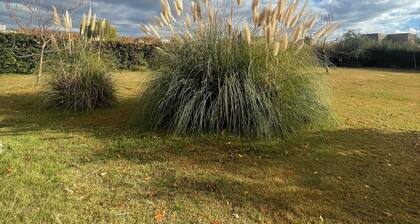 Comarca Andina Lodge 6B