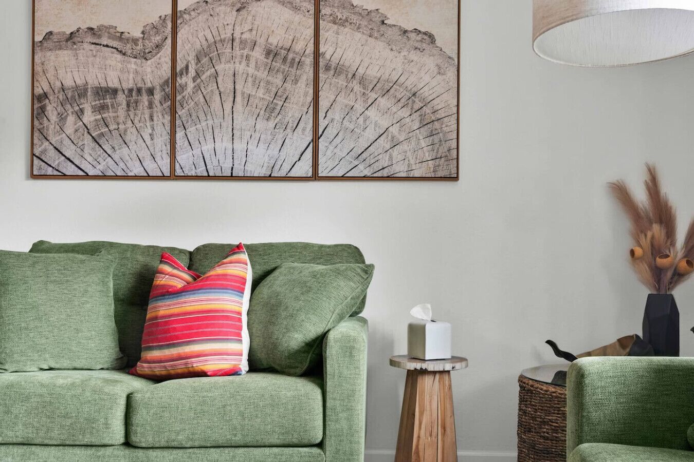 Älytelevisio, takka, kirjoja, musiikkikirjasto