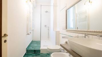 Regadera, secadora de cabello, bidet, toallas