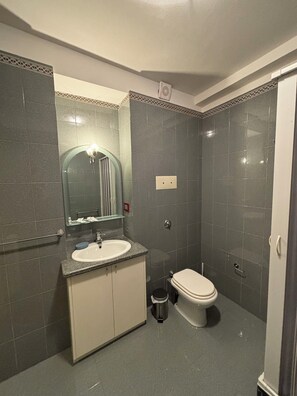 Shower, hair dryer, bidet, towels