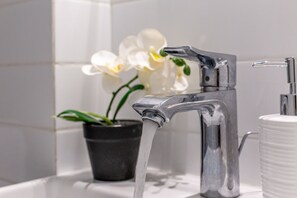 Shower, hair dryer, bidet, towels