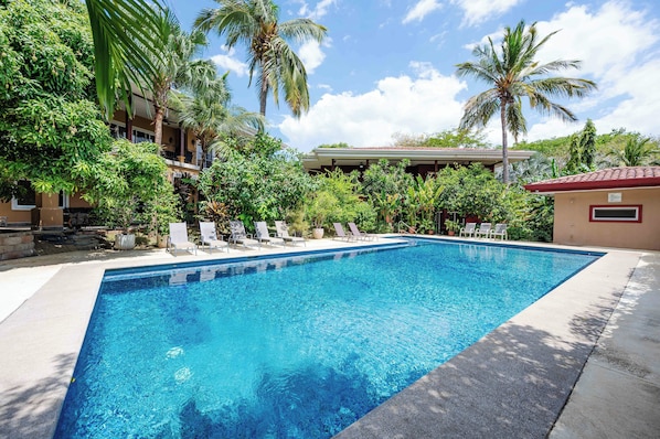A swimming pool with lounge chairs, surrounded by palm trees and greenery.