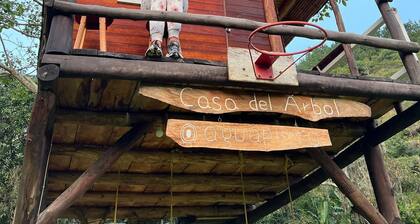 Mountain Cottages in Merida