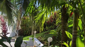 A lush garden with various plants and a white structure. - Villa 54 at Colibri d'Isa, a haven of peace between sea, mountains and rainforest (CAPESTERRE BELLE EAU)