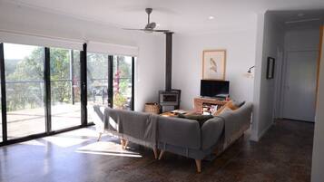 壁炉、DVD 播放器、书