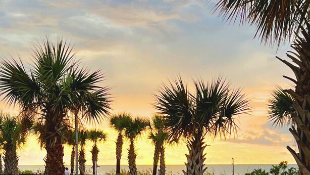 A pathway leading to a pool area with palm trees and a sunset view. - Sunset Palace Perfect Beach Getaway: Stunning Updates & Unbeatable Convenience! (Myrtle Beach)