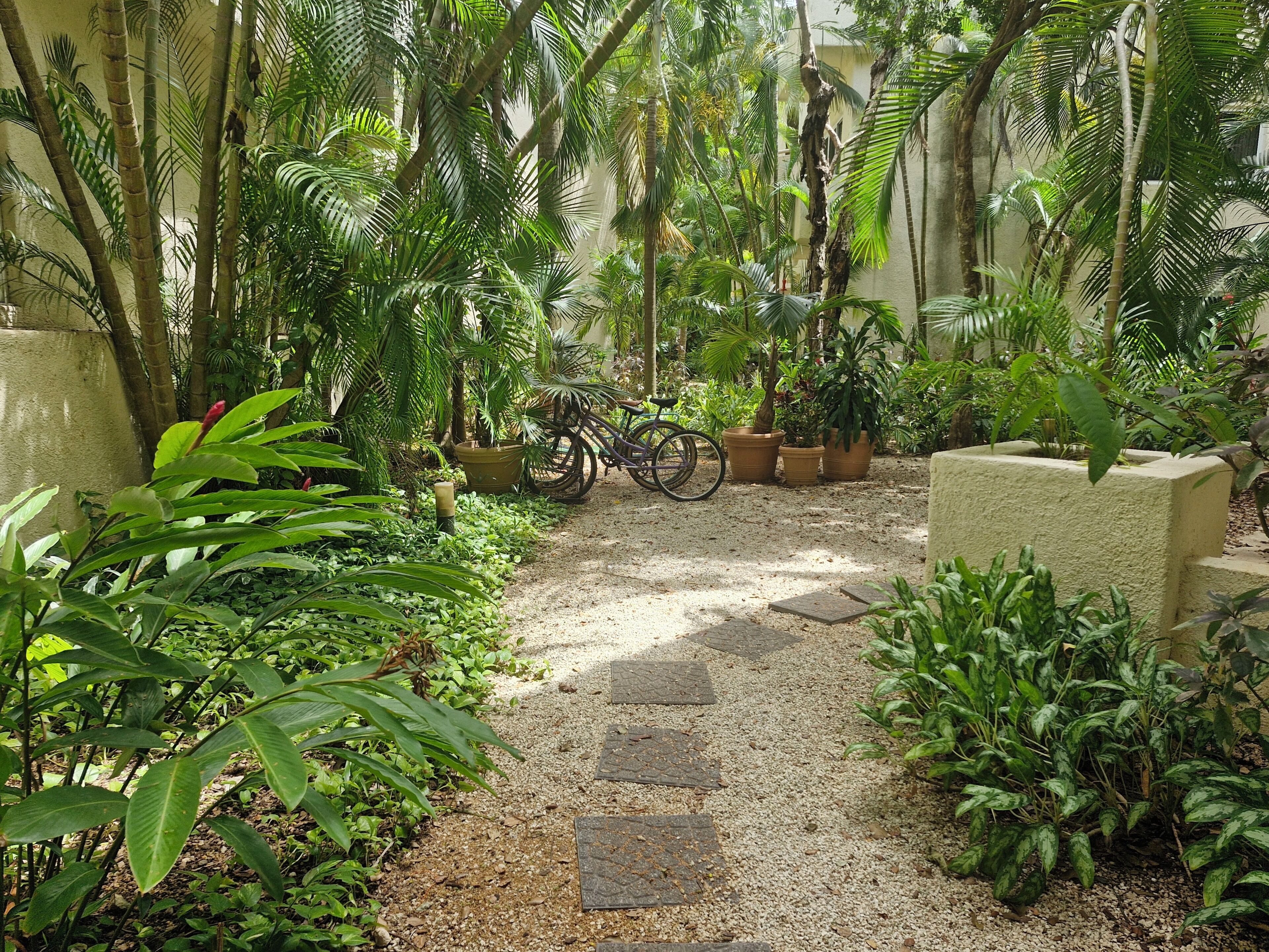 Jardín