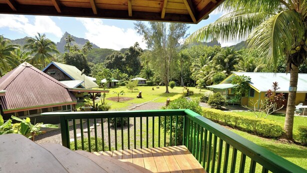 A wooden deck with a green railing overlooking a lush garden with palm trees and a mountain in the background. - Fare Manu (Moorea-Maiao)
