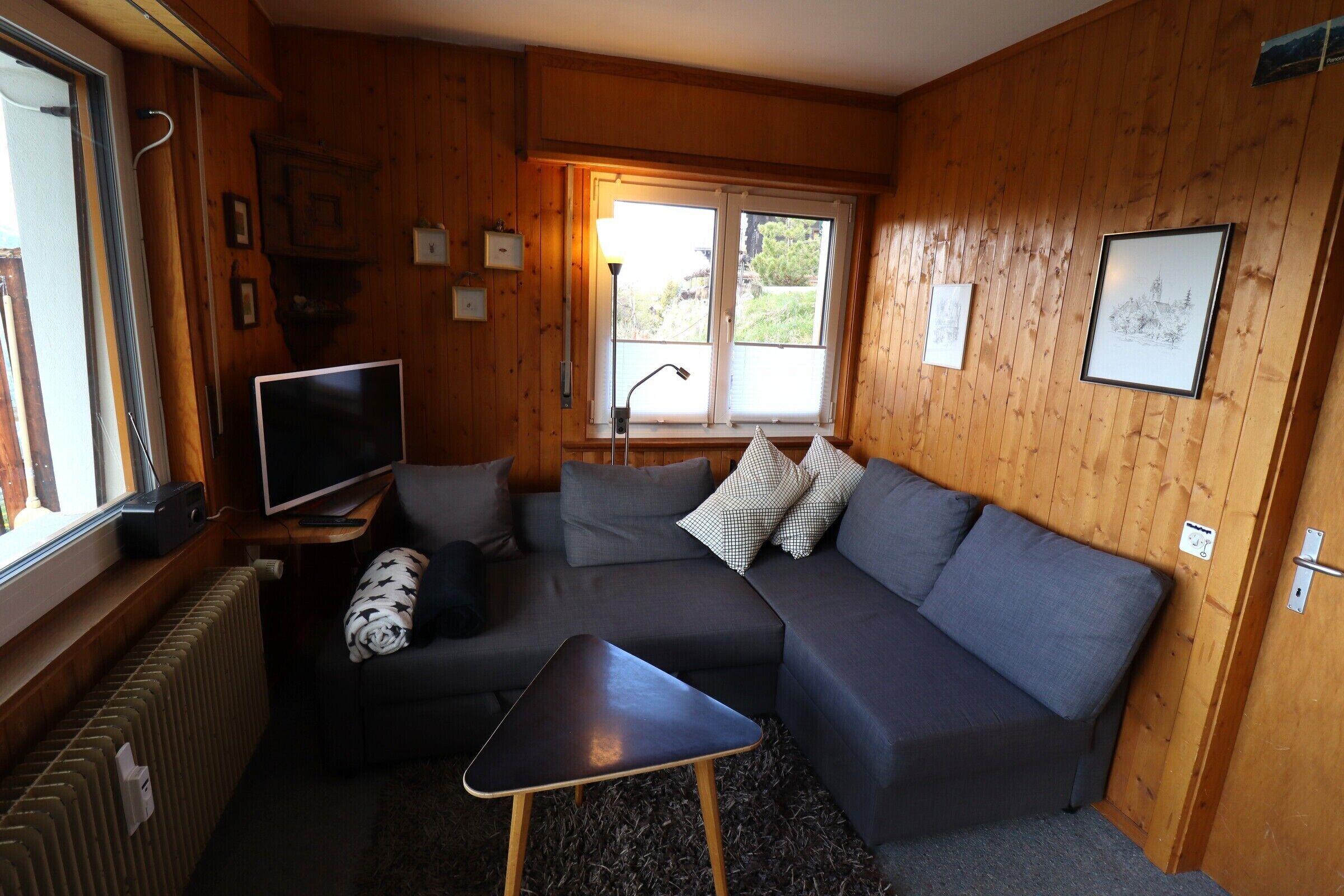 Ein gemütliches Blockhaus-Interieur mit einem dunkelgrauen Sofa, einem kleinen schwarzen Tisch, einem Fernseher und einem Fenster mit Blick auf Grünfläche.