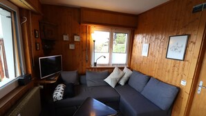 Een gezellig interieur van een chalet met een donkergrijze bank, een klein zwart tafeltje, een televisie en een raam met uitzicht op groen.