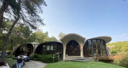 HOUSE OF FUTURE MASTER BEDROOM LANSING
