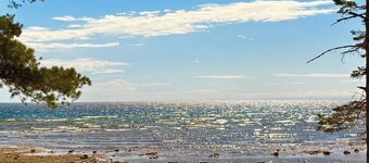 Michicove: Spring Mornings, Beach Walks, and Fireside Evenings