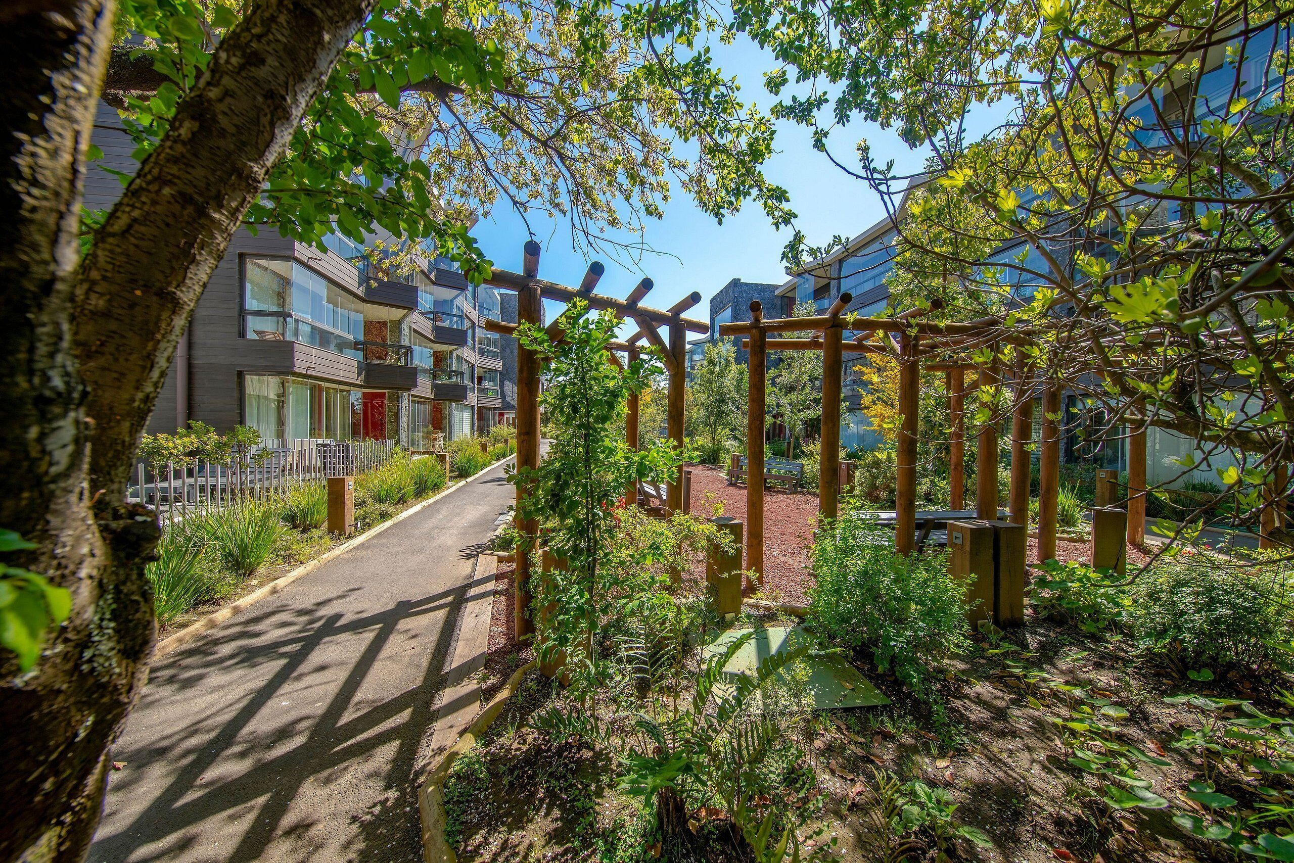 A pathway leading to a wooden pergola with climbing plants, surrounded by greenery and modern buildings.