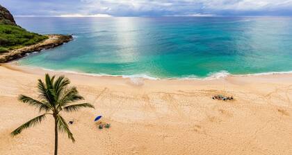 Corner Oceanfront 1BR Condo w/ Panoramic Views