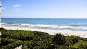 Blick auf einen Strand mit blauem Himmel, sandigem Ufer und dichter Vegetation im Vordergrund.
