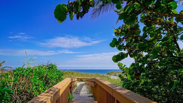 A wooden boardwalk leading to a beach with lush greenery on both sides.