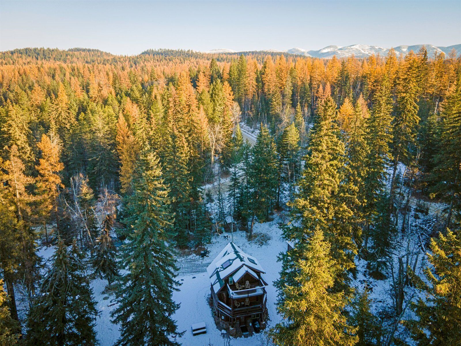 A log cabin surrounded by a dense forest with snow on the ground.