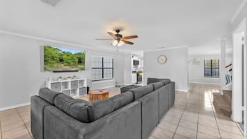 Smart TV, video games, computer monitors