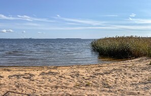 A sandy beach with a calm sea, a distant shoreline with buildings, and a dense cluster of reeds or tall grasses on the right. - 1 bedroom lovely home in Vålberg (Vålberg)