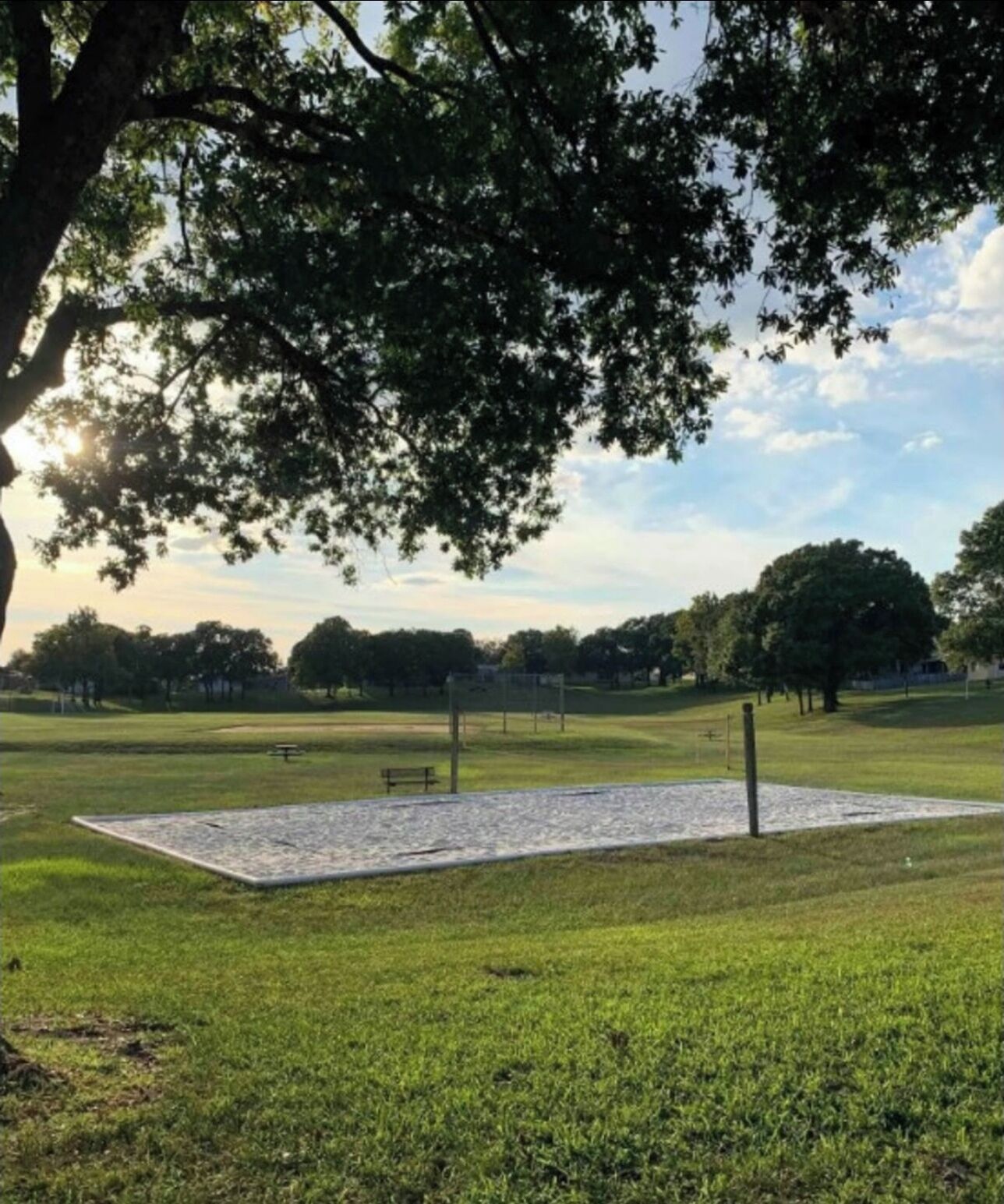 Un parque con zona pavimentada, bancos y árboles.