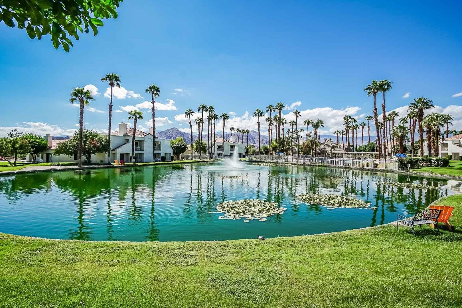 A resort pool with palm trees, a fountain, and a clear blue sky.
