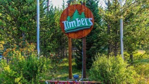 Ein Schild mit der Aufschrift "Timbers", umgeben von Grünpflanzen und Blumen.