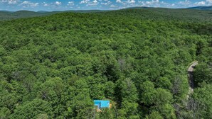 Un bosque frondoso con un pequeño edificio azul rodeado de follaje.