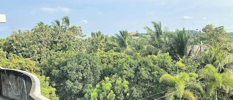A lush green landscape with dense foliage and a concrete structure in the foreground.
