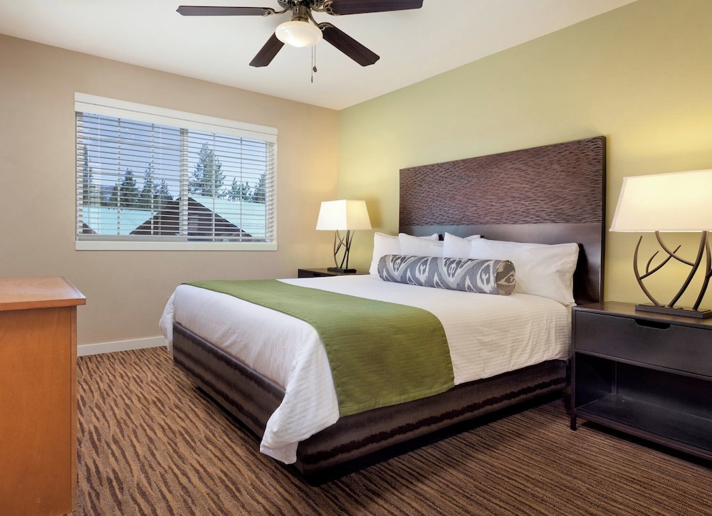 Palm Springs Condos by null