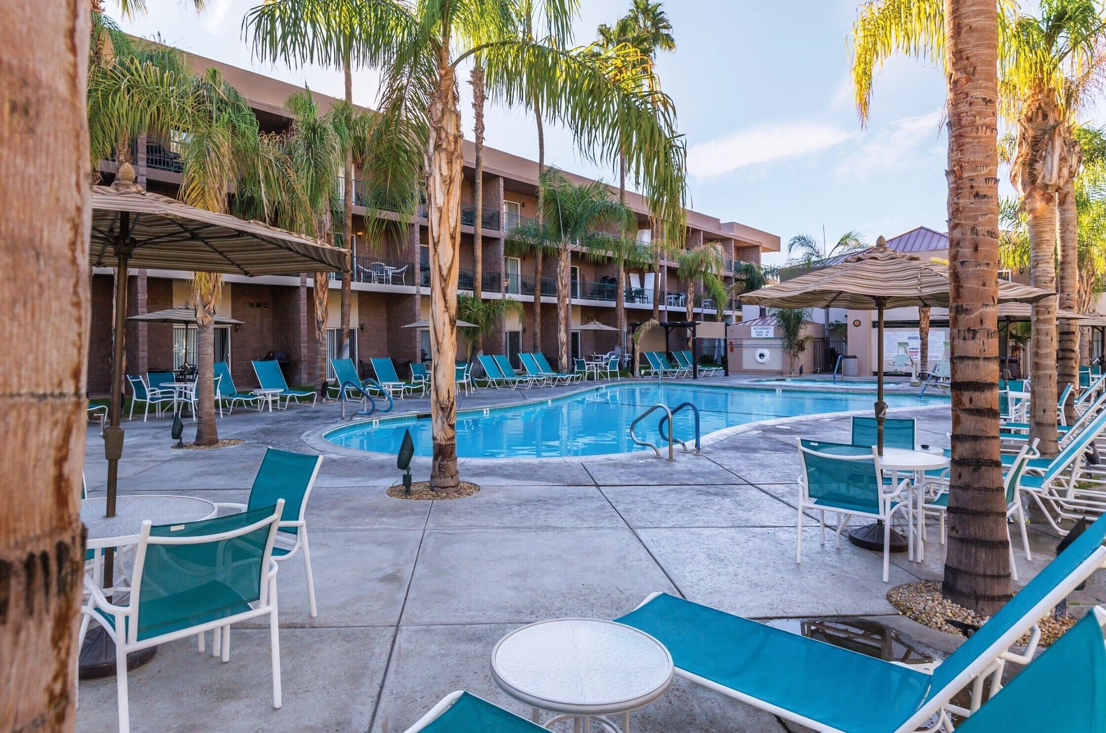 Un espace aménagé au bord de la piscine, avec des chaises longues et des parasols, entouré de palmiers et d’un bâtiment doté de balcons.