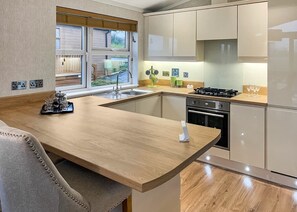 Fridge, oven, stovetop, toaster