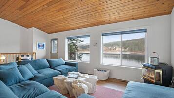 TV connectée, cheminée, jeux vidéo, livres