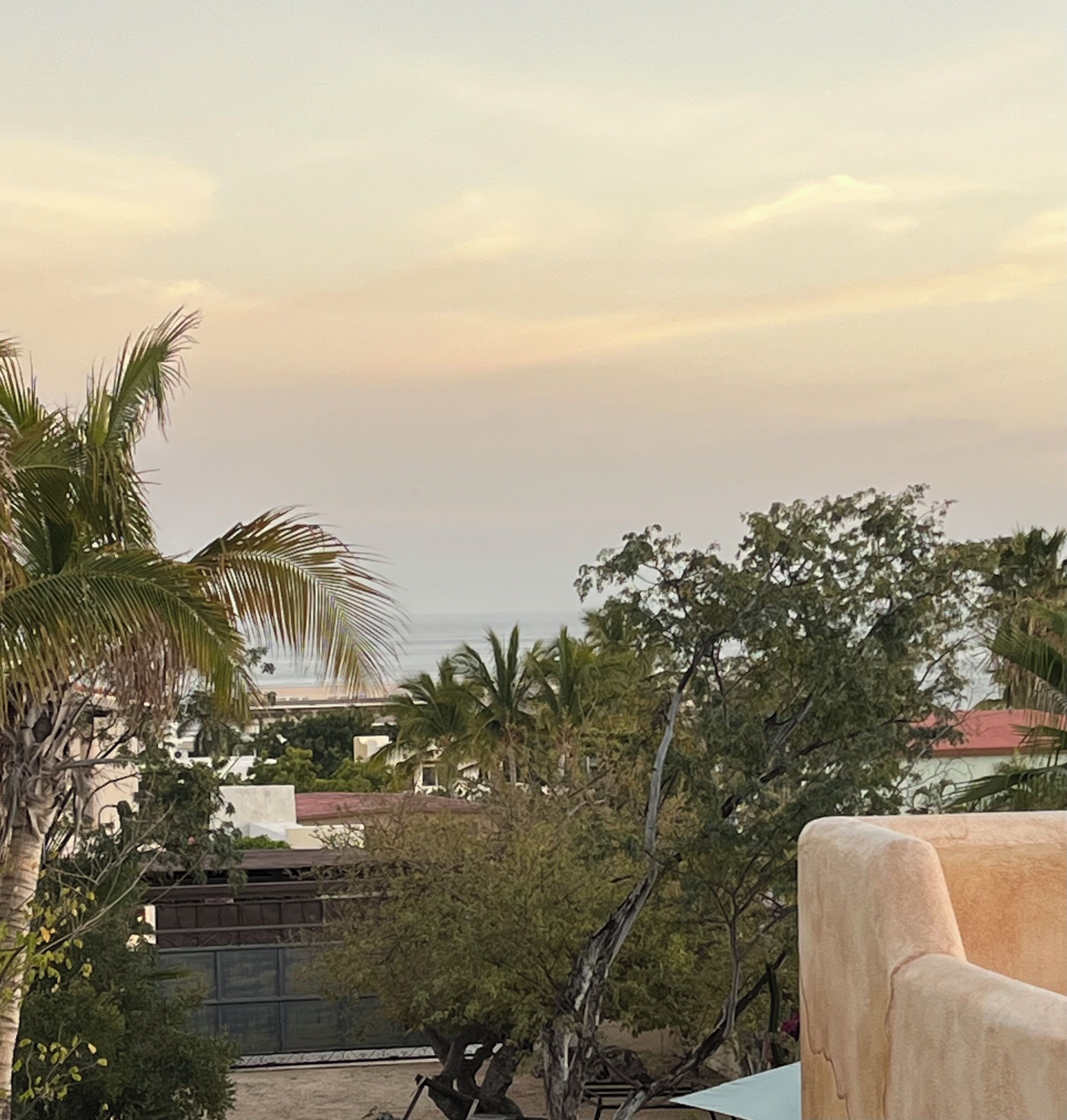 Zona residencial con casas, palmeras y cielo despejado.