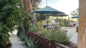 A pathway lined with aloe plants and palm trees, leading to outdoor seating with umbrellas. - Villa El Tule
Beautiful home in the Corridor Area.
Minutes to Chileno Bay (Cabo San Lucas)