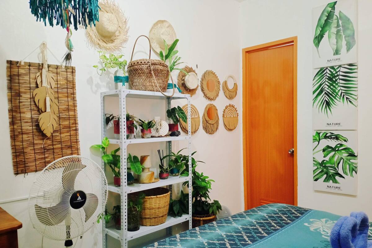 A room with a bed, a fan, a wooden door, and shelves with plants and decorative items.
