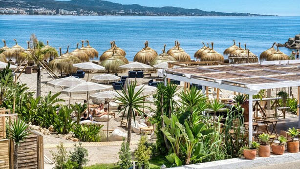 Un resort frente al mar con sombrillas de paja, sillas de descanso y plantas en macetas.