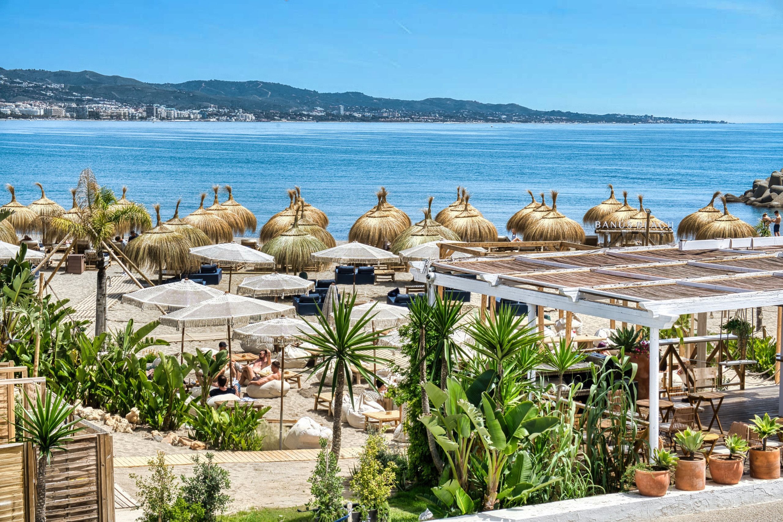 A beachside resort with thatched umbrellas, lounge chairs, and potted plants.