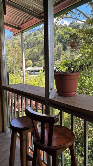Ein hölzerner Balkon mit einem Blumentopf, zwei Holzstühlen und Blick auf eine üppige grüne Landschaft.