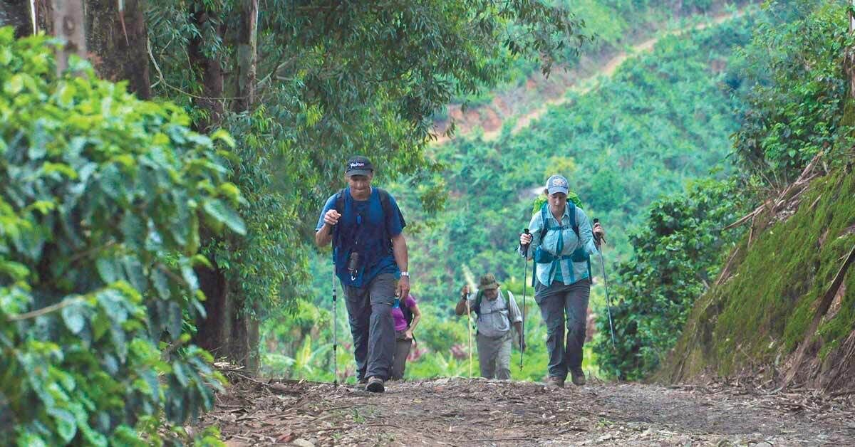 A group of hikers on a dirt path surrounded by dense greenery.