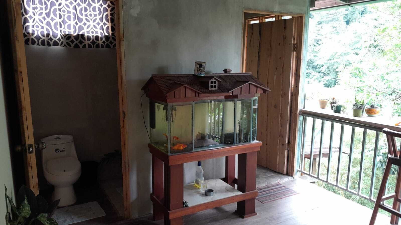 Een kleine vissenkom op een houten voetstuk in een kamer met een toilet en een houten deur.