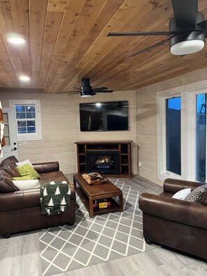 Smart TV, chimenea, reproductor de DVD y libros 