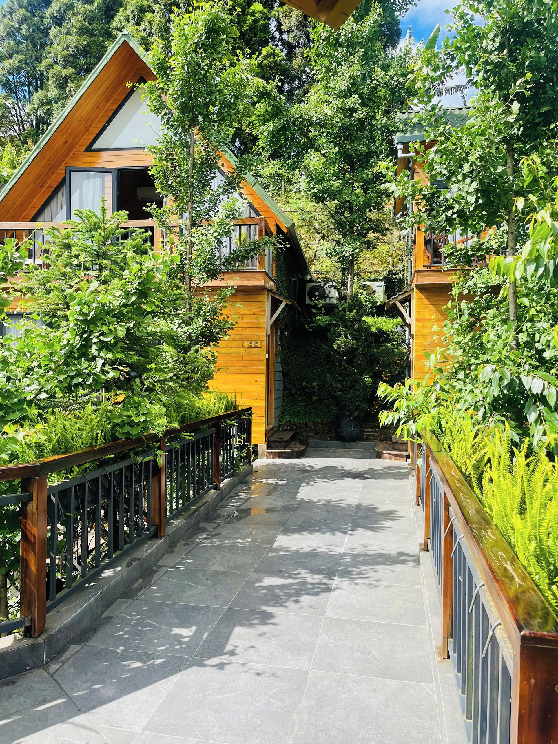 Un sendero bordeado por edificios de madera con balcones, rodeado de abundante vegetación.