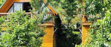 Un sendero bordeado por edificios de madera con balcones, rodeado de abundante vegetación.