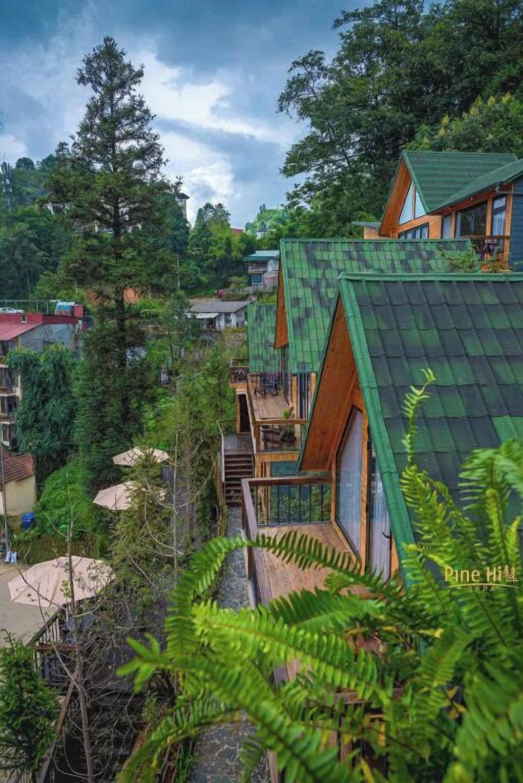 A cabin-style building with a green roof, surrounded by dense forest.
