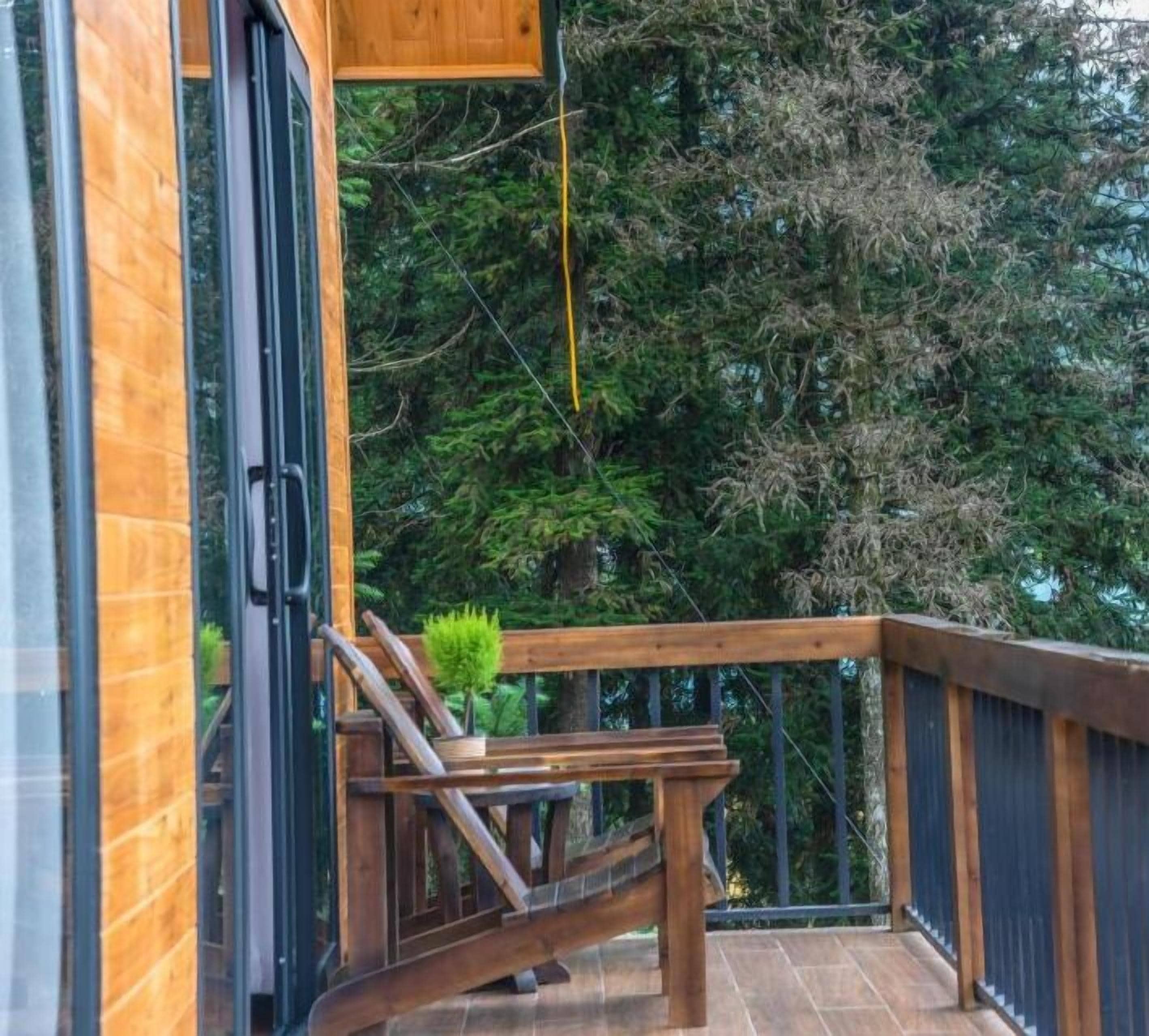 A wooden deck with a glass door leading to a room, surrounded by dense forest.