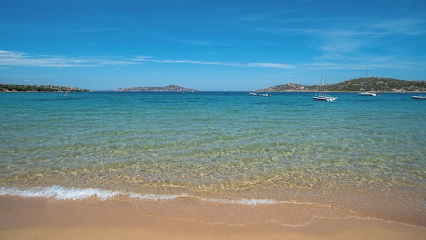 ビーチ