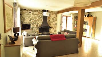 TV, fireplace, video games, DVD player