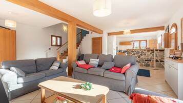 TV, fireplace, video games, DVD player