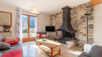 TV, fireplace, video games, DVD player